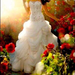 Alfred Angelo Disney Belle Wedding Gown